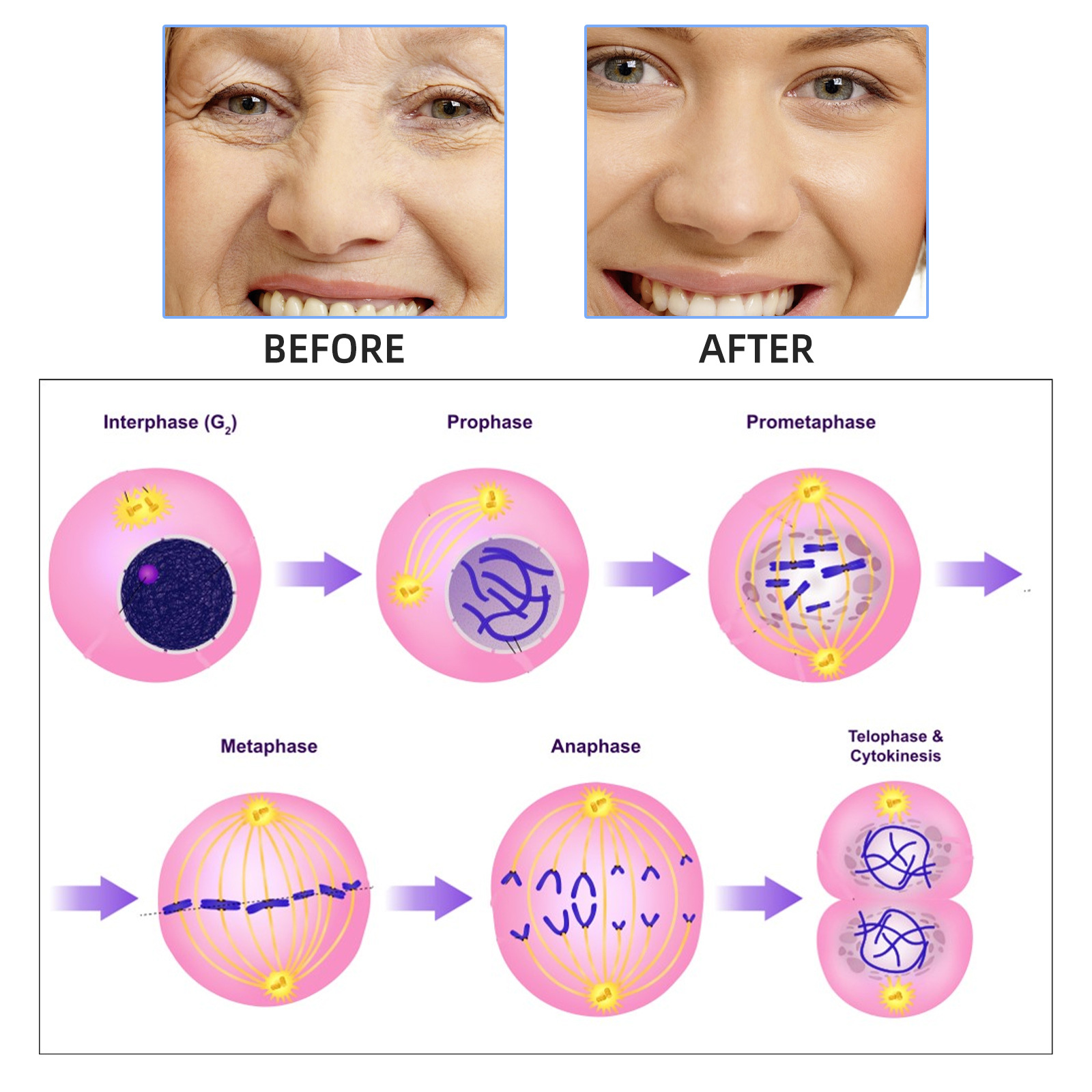 2ml*7pcs Hyaluronic acid Meso  - Hyaluronic Acid Facial Serum 评论和价格
