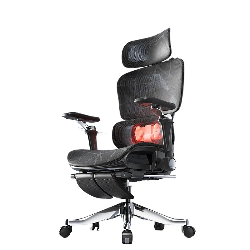 Ergonomic Massage Lumbar Suppo - Massage 评论和价格