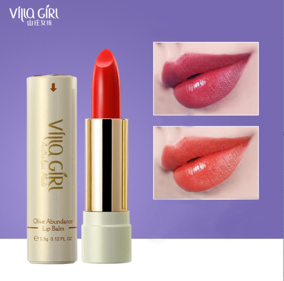 Lipstick Lip Makeup Sexy Woman - Matte Velvet Lip Tint Long Lasting 评论和价格