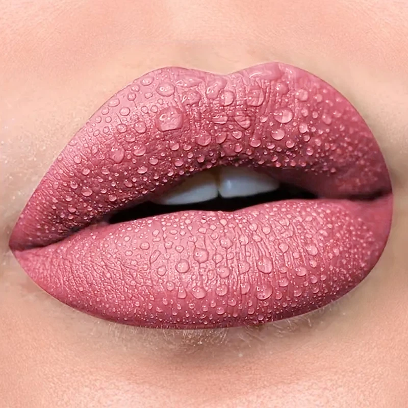 1pcs Waterproof Matte Velvet L - Matte Velvet Lip Tint Long Lasting 评论和价格