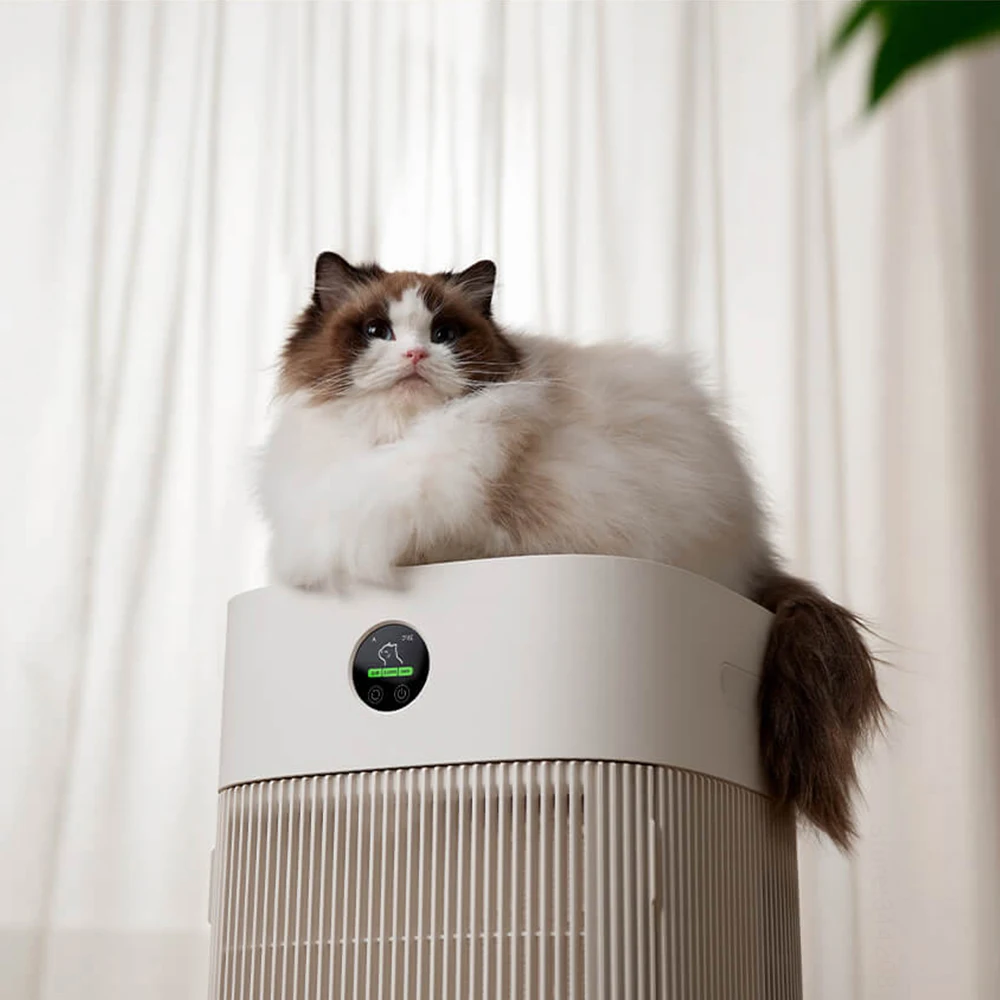 Cats Hair Fast Absorb Dogs Hai - Hair Care 评论和价格