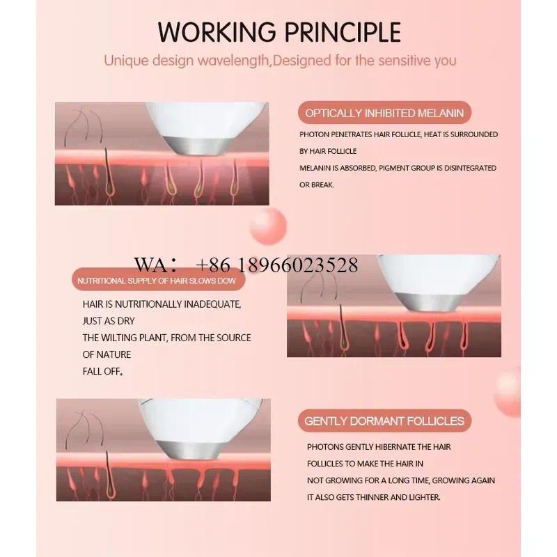 WMWMNU for Portable Home Use H - Hair Care 评论和价格